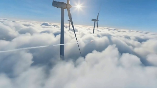 Physics Comparison: Sora vs Seedance