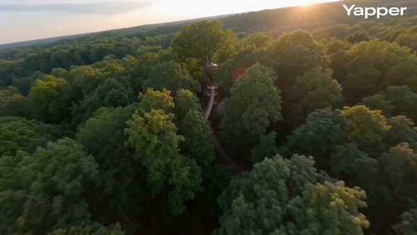 FPV Treehouse Exploration