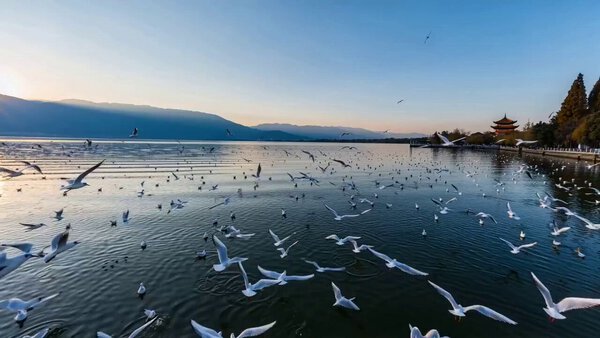 Kunming City Tourism Promo