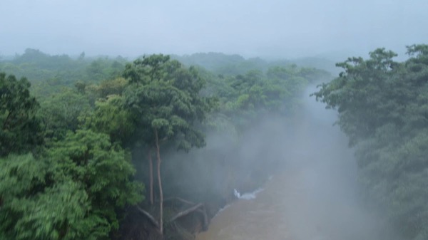 Monsoon Rainforest Hovercraft