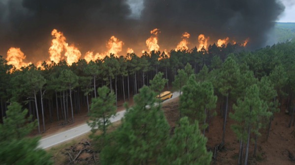 School Bus Fire Escape