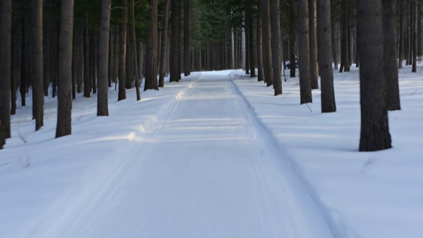 Snowmobile Action Extreme