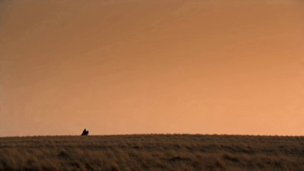 Cinematic Distance to Integration