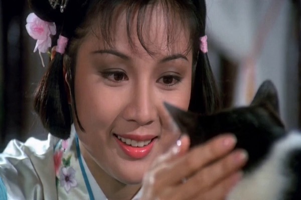 Cat Magic Transformation