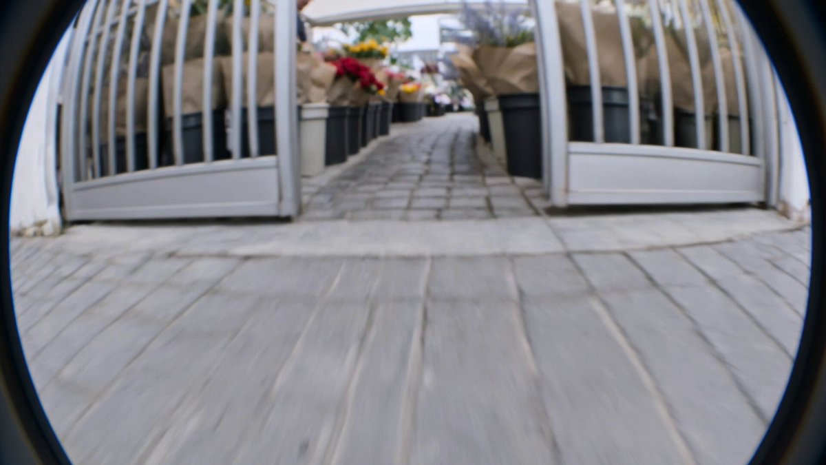 Bee POV in Kling 3.0