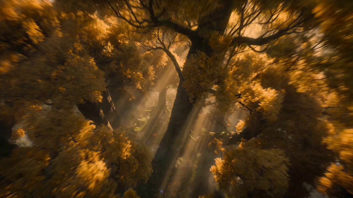 Primordial Griffin Forest Chase