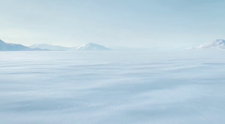 Frozen Lake Polar Bear Emergence