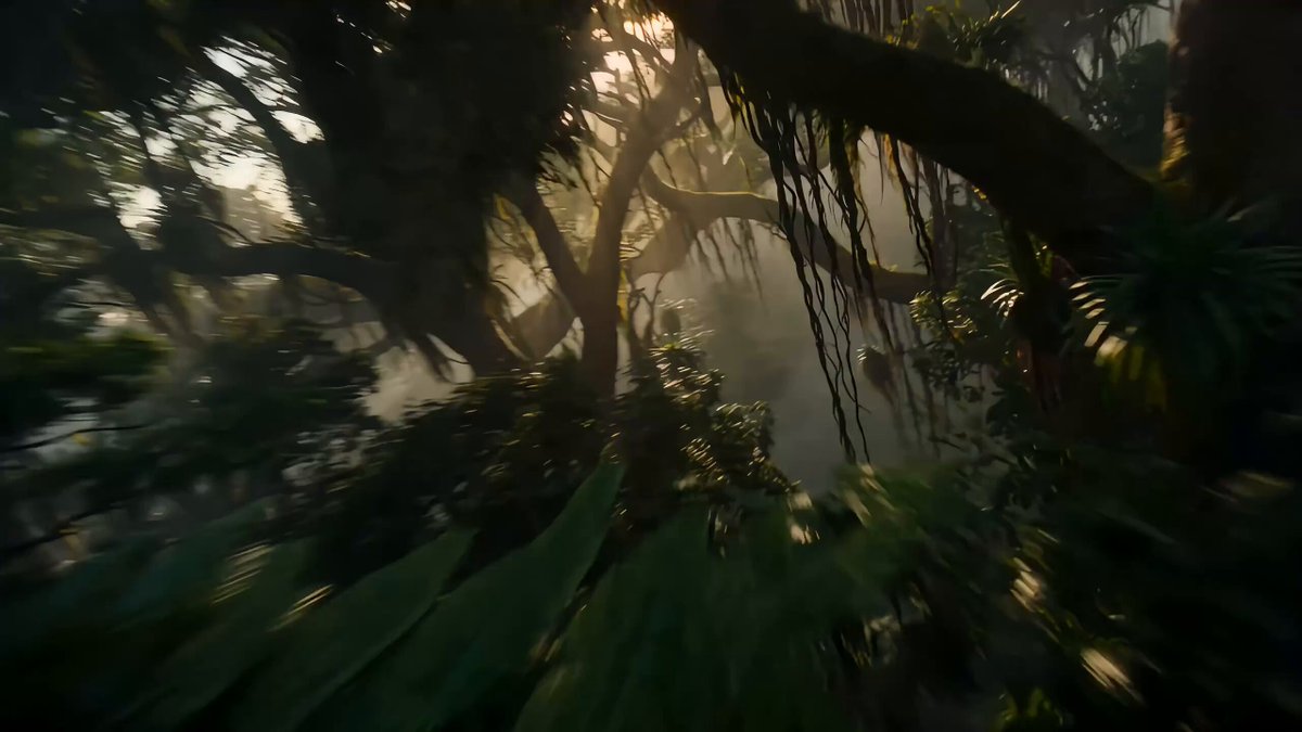 Amazon Rainforest - Single Take