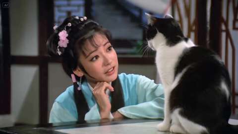 Hong Kong Wuxia Cat Transformation