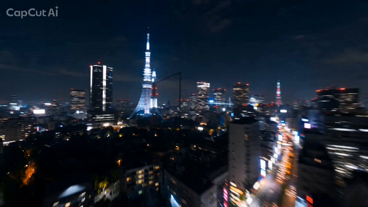 Tokyo Rollercoaster Night POV