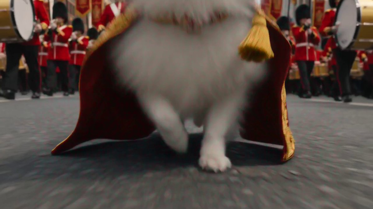 Fluffy Dog Parade Commander