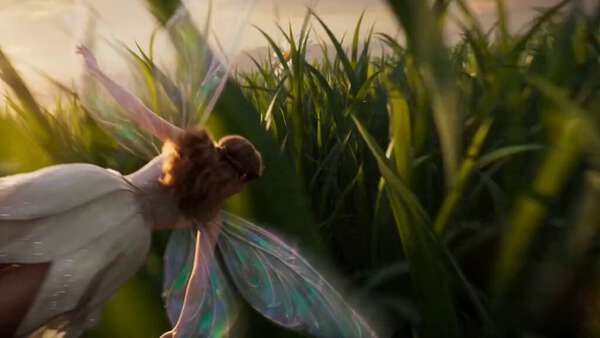 JSON Prompt Fairy FPV