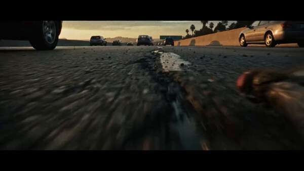Fly POV Sunset Chase