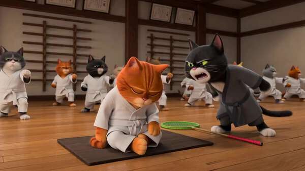 Cat Master Choosing Chaos