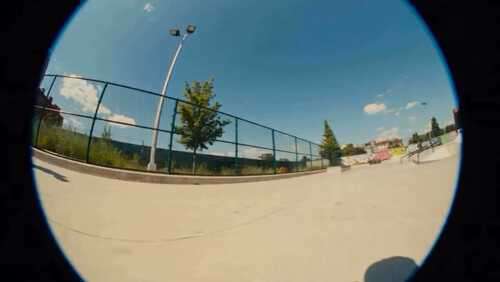 Skatepark Dachshund Skateboard Rider