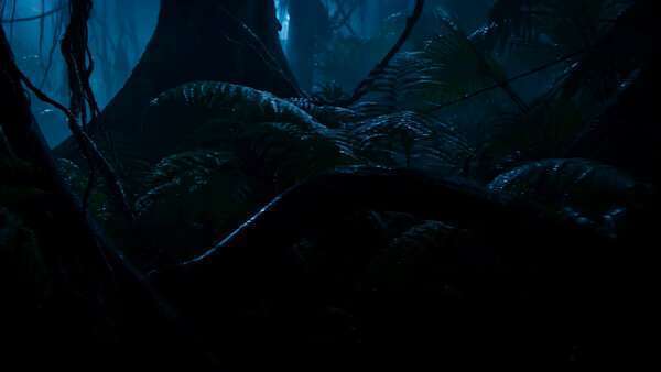 Rainforest Thriller Continuous Shot