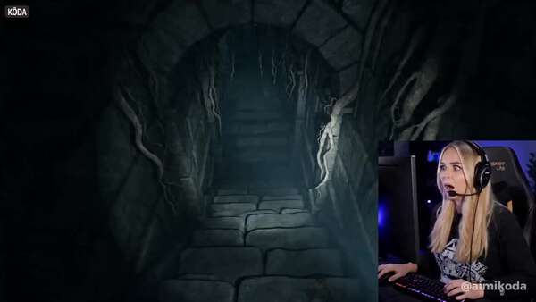 Streamer Jumpscare Moment