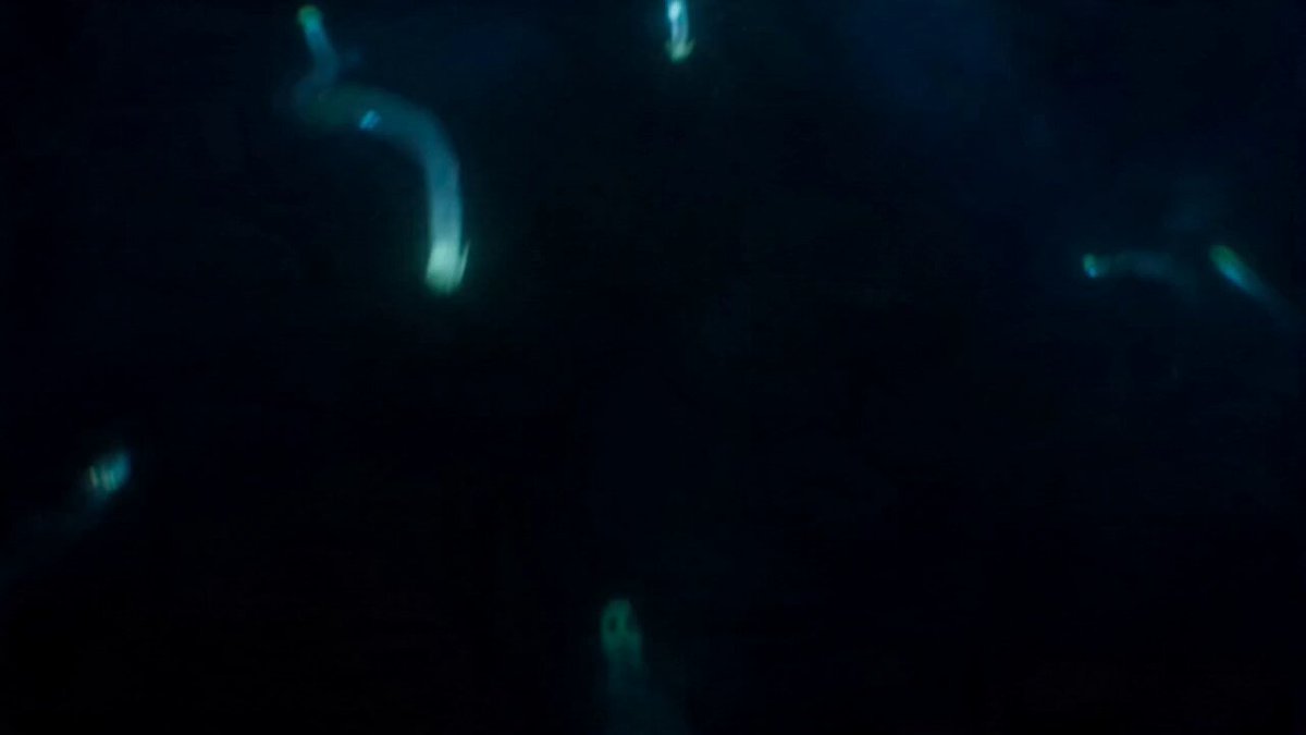 Sea Monster Naval Battle