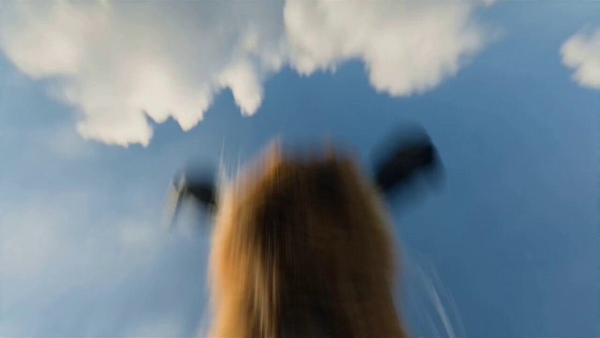 FPV Lion Cage Chase