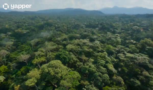One-Take FPV Jungle Chase