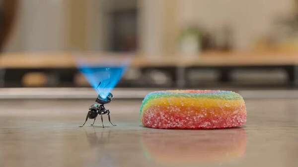 Robot Ant Mission