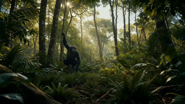 Human Evolution Hyperlapse