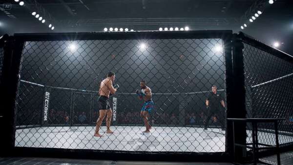 MMA Cage Fight