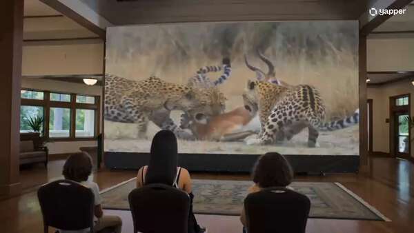Auditorium Deer Rescue