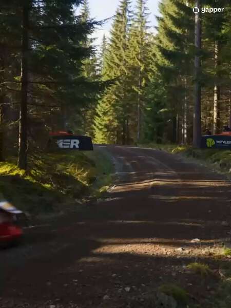 She Drove Through the Forest Like a Force of Nature