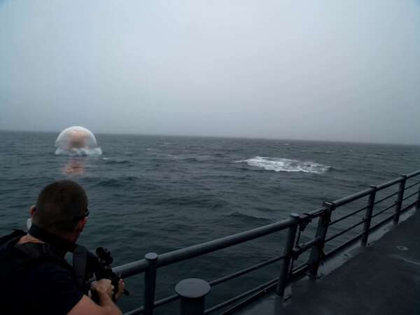 Jellyfish Alien Creature Horror