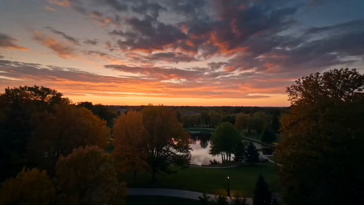 Peaceful Evening Park Walk