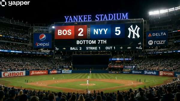 Cat Fan Watching Baseball in Yankees Stadium