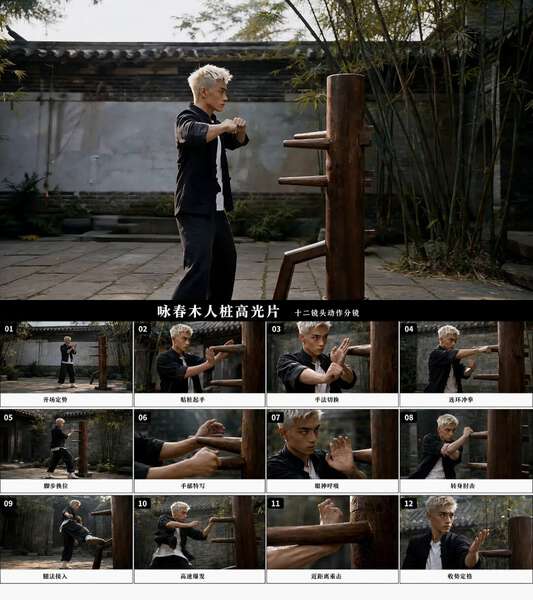 Wing Chun Wooden Dummy Training