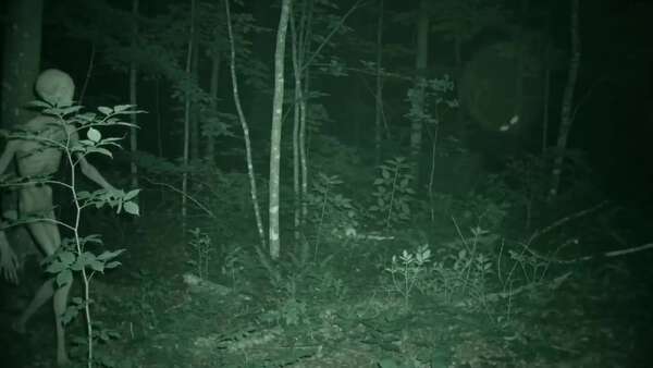 Skinwalker Trail Camera