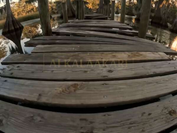 Wooden Dock Hippo Attack