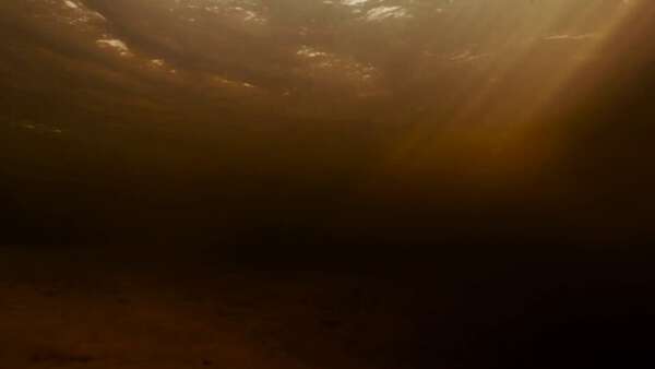 Egypt 1700 Nile One-Take Cinematic